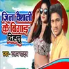 About Jila Vaishali Ke Bigar Dihlu Song