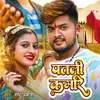 About Patli Kamri Song