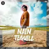 About Nain Tequile Song