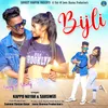 About BIJLI Song