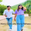 About Mana Gavle Una Mana Pakharu Song