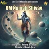 Om Namah Shivay