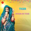 About TIGER Song