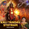 About Kali Tandav Stotram Song