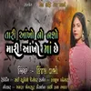 About Tari Aankho No Nasho Mari Aankho Maa Chhe Song