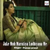 About Jake Muh Maratiya Ludhiyana Me Song