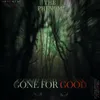 About Gone for Good Song