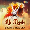 About Ali Maula Song