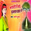 About Kharhatad Me Bade Brijlal Baba Ho Song