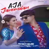 About Aja Janemaan Song