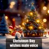 About Christmas Day wishes male voice Song