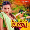 About Jindagi Song