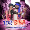 About TOR BINA Song