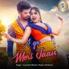 About A Go Meri Jaan Song