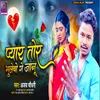 About Pyar Tor Bhulebo Ge Jan Song