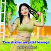 About Tere Shaher Me Pital Barsegi Song