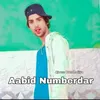 About Aabid Numberdar Song