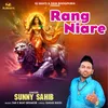 About Rang Niare Song