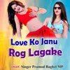 About Love Ko Janu Rog Lagake Song