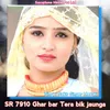 About SR 7910 Ghar Bar Tera Bik Jaunga Song