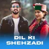 About Dil Ki Shehzadi Song