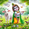 About Pyaro Krishna Kanhaiya Song