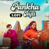 About Pankha Bijli (Lofi) Song