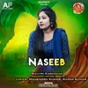 NASEEB