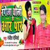 About Rangela Choli Ke Aar Par Song