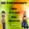 About Tu Nikri Naar Chhinatto Song