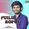 About Puilu Ropol Song