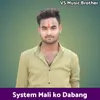 System Mali ko Dabang