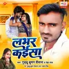 About Labhar Kaisa Song