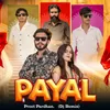 About Payal (Dj Remix) Song