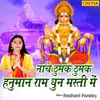 About Nache Thumak Thumak Hanuman Ram Dhun Masti Me Song