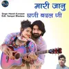 About Mari Jaan Ghani Badal gai Song