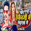 About Ghor Delahi Jindagi Me Jaharwa Ge Song