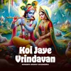About Koi Jaye Vrindavan Song
