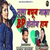 About Tula Baghun Majha Bp Hotoy Hay Song