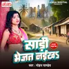 About Saari Bhejat Naikha Song