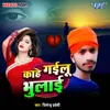 About Kahe Gailu Bhulai Song