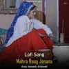 About Mahra Baag Janana - Lofi Song Song
