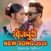 About Bhojpuri New Song 2024 Song