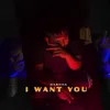 About I Want You Song