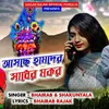 About Asche Humdar Sadher Makar Song