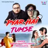 About Pyar Hai Tumse Song