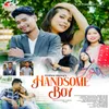 About Handsome Boy Song