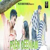 About Prem Deewani Song