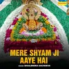 About Mere Shyam Ji Aaye Hai Song