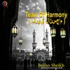 About Team Of Harmony - Imran Sheikh Song